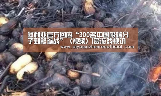 叙利亚官方回应“300名中国极端分子到叙参战”(视频)|爱游戏视讯(图1) 爱游戏视讯