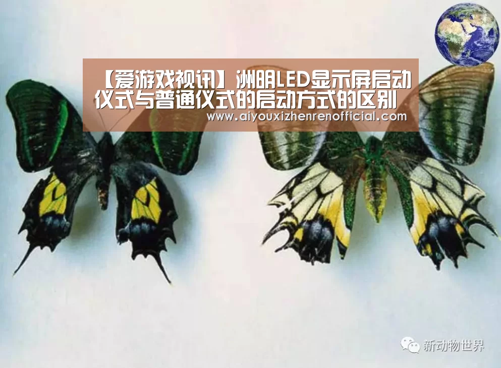 爱游戏官网