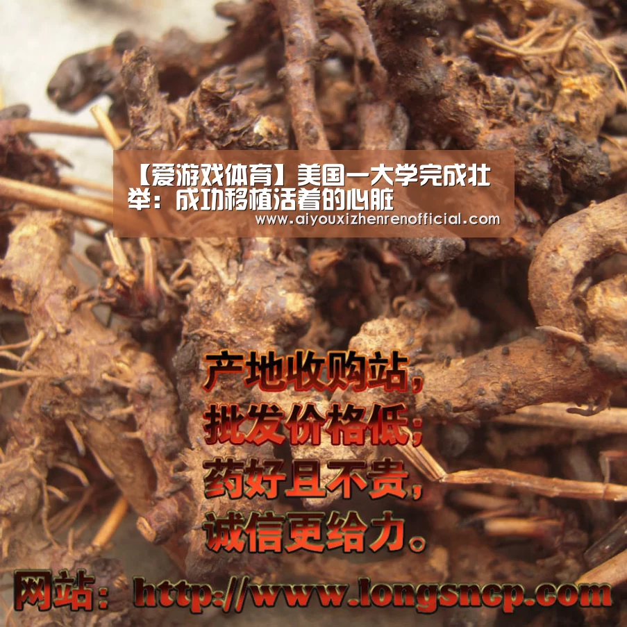 【爱游戏体育】美国一大学完成壮举:成功移植活着的心脏(图1) 爱游戏体育